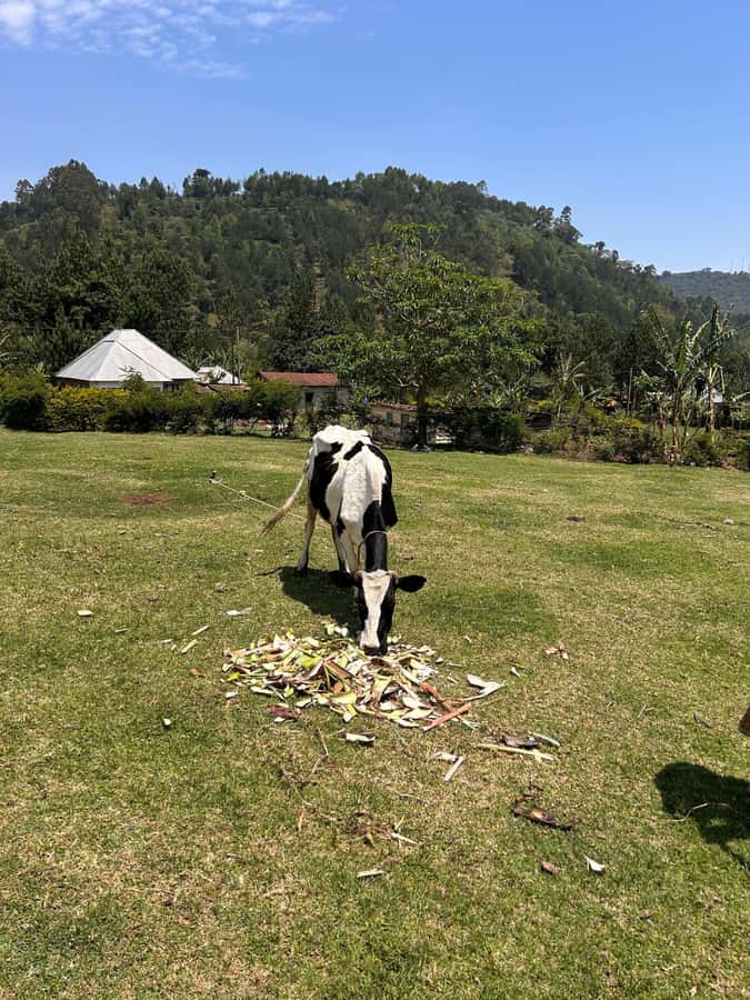 Arusha: Napuru Waterfalls Guided Hike - Five things to know before you go