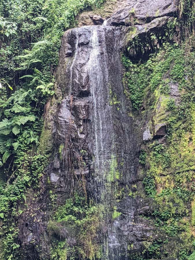Arusha: Napuru Waterfalls Guided Hike - Napuru Waterfalls and the river approach