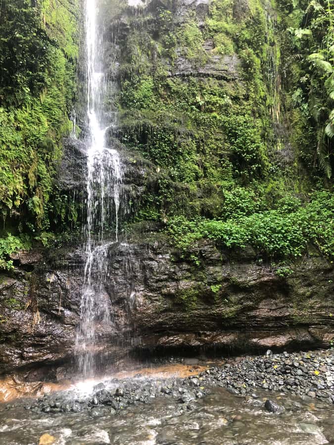 Arusha: Napuru Waterfalls Guided Hike - Who should book this hike?