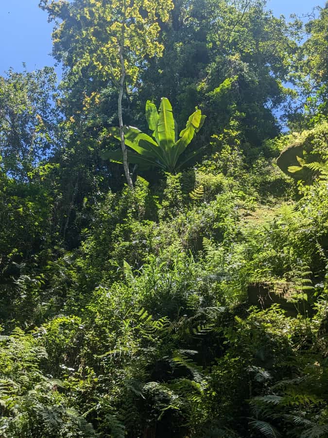 Arusha: Napuru Waterfalls Guided Hike - Final verdict: Is Napuru Waterfalls worth your time?