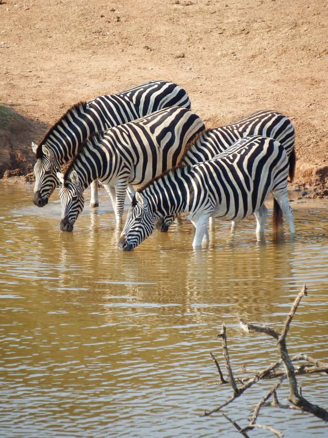 Arusha National Park Day Tour with All-Inclusive - Ngurudoto Crater, the little Ngorongoro