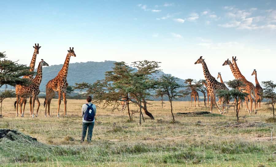 Arusha National Park Day Tour with All-Inclusive - From Moshi or Arusha to the park gate