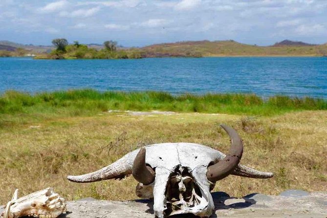 Arusha National Park Day Trip - Timing, pickup, and the length of the day