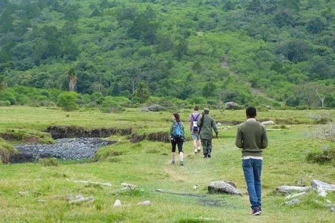 Arusha National Park Guided Day Tour from Arusha - The afternoon game drive through the park