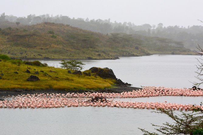 Arusha National Park Guided Day Tour from Arusha - What the $345.34 price really covers