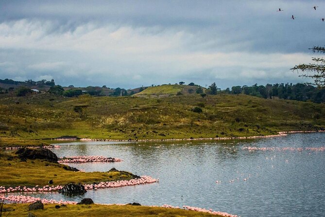 Arusha National Park Guided Day Tour from Arusha - Timing, group size, and practical planning
