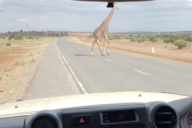 Arusha National Park Half Day Tour - Pickup From Arusha or Kilimanjaro Airport