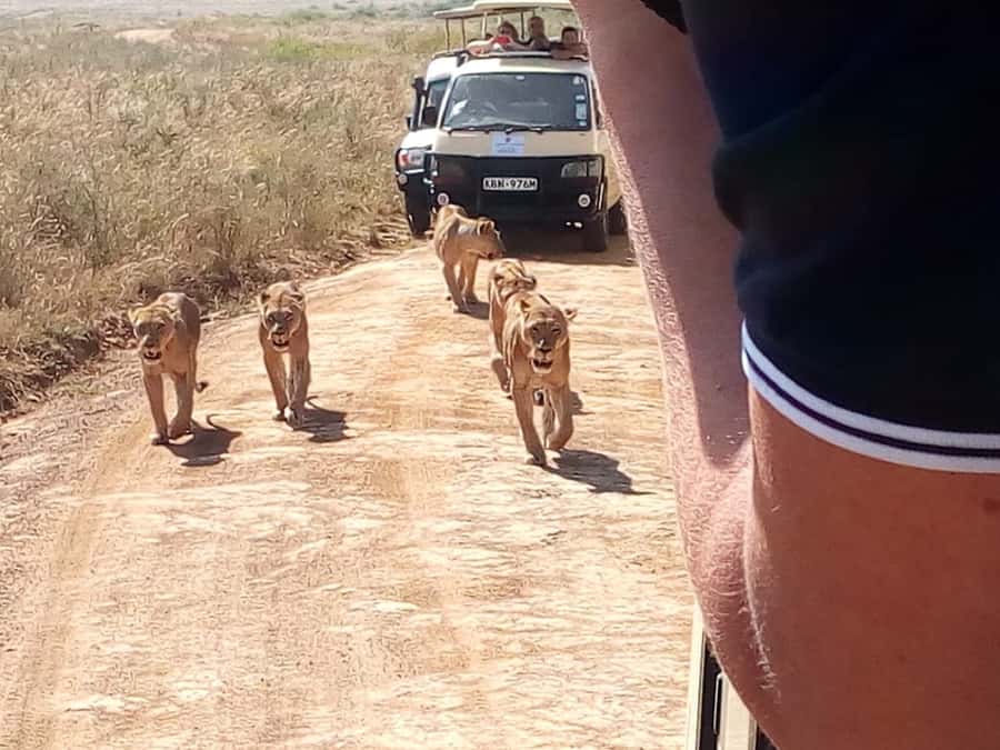 Arusha National Park: Private Jeep Tour - Why Arusha National Park works for a short safari