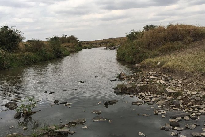 Arusha National Park Safari by Jeep - Why Arusha National Park makes sense for a half-day
