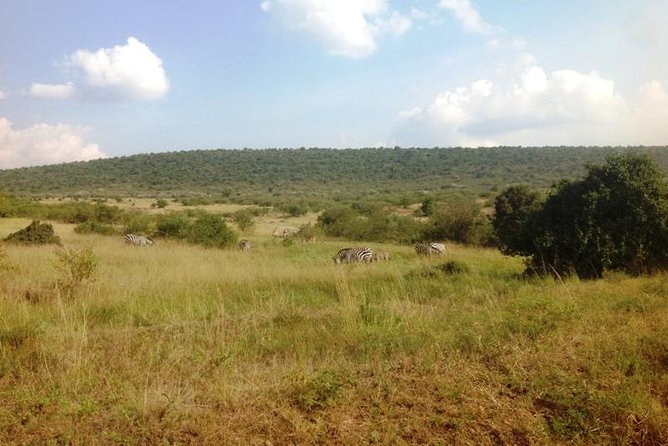 Arusha National Park Safari by Jeep - Is the $0 price really free?