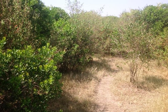 Arusha National Park Safari by Jeep - What I like, and what gives me pause