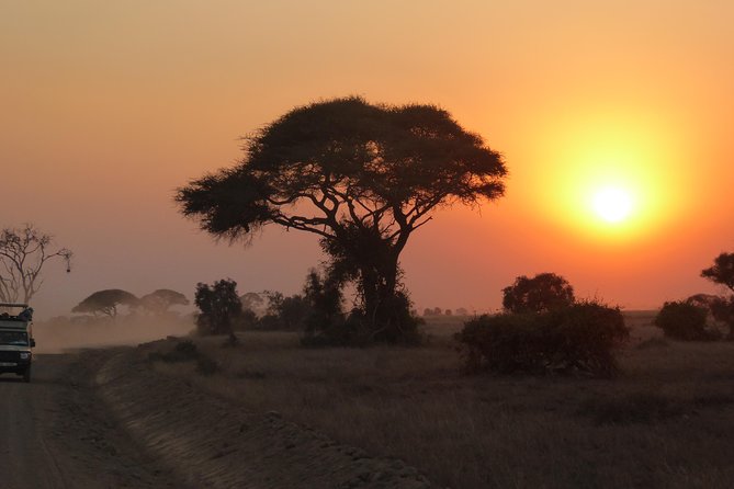 Arusha National Park Safari by Jeep - Pickup from your hotel or Kilimanjaro airport