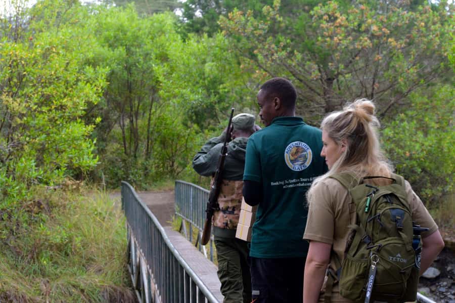 Arusha National Park: Walking Safari and Game Drive - Why Arusha National Park Makes a Good Day Trip