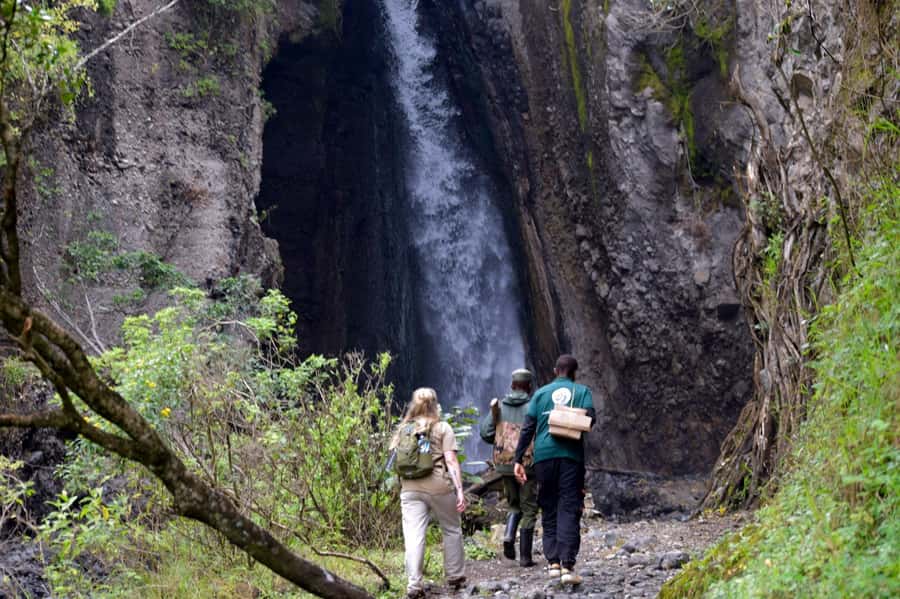 Arusha National Park: Walking Safari and Game Drive - The First Game Drive Through Arusha’s Wildlife Country