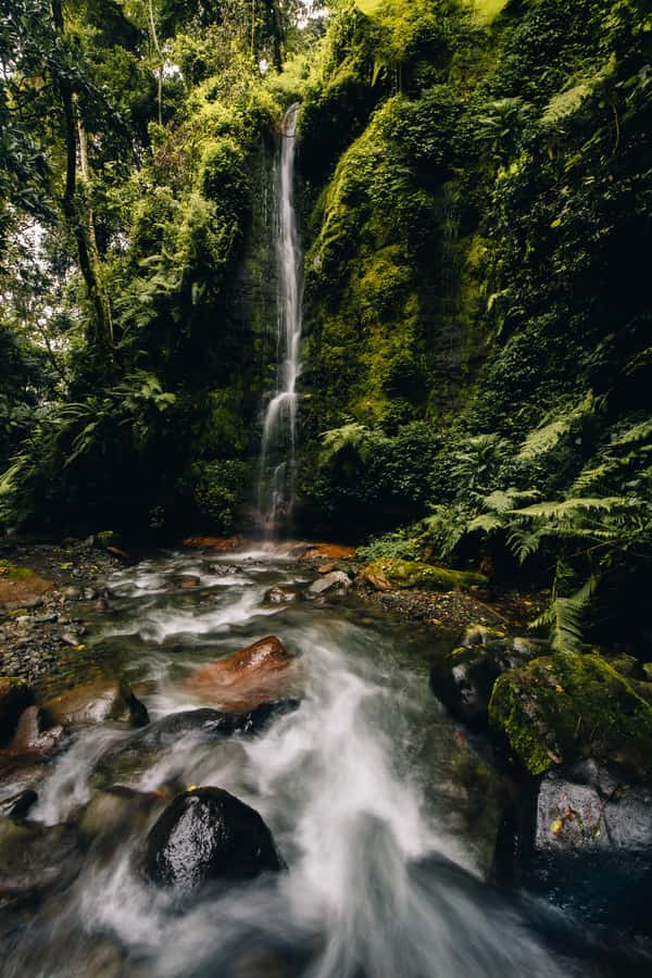 Arusha nature hike to Napuru waterfalls. - Napuru Waterfall at a glance