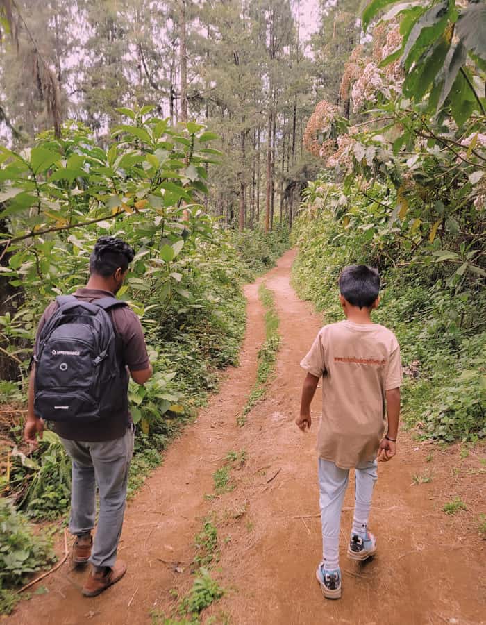 Arusha nature hike to Napuru waterfalls. - The 1 to 1.5 hour drive from Arusha