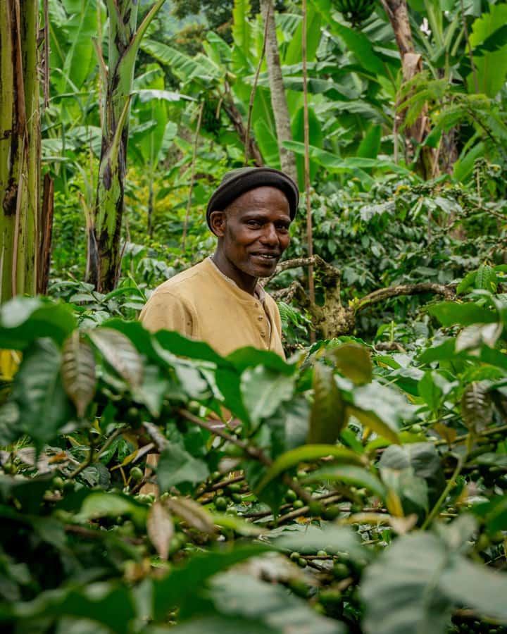 Arusha nature hike to Napuru waterfalls. - Booking details and sensible questions