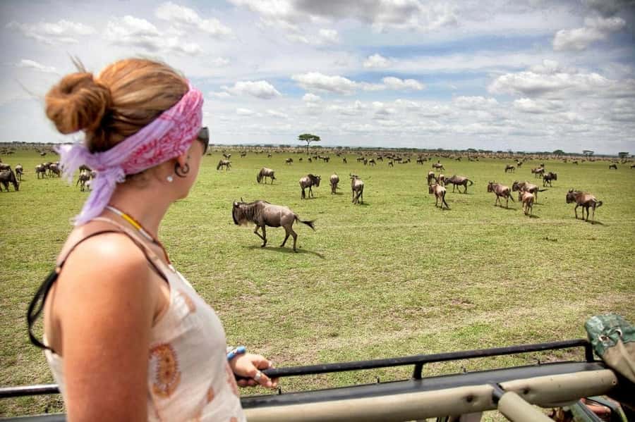 Arusha: Ngorongoro Crater Day Tour - Key points to know before booking