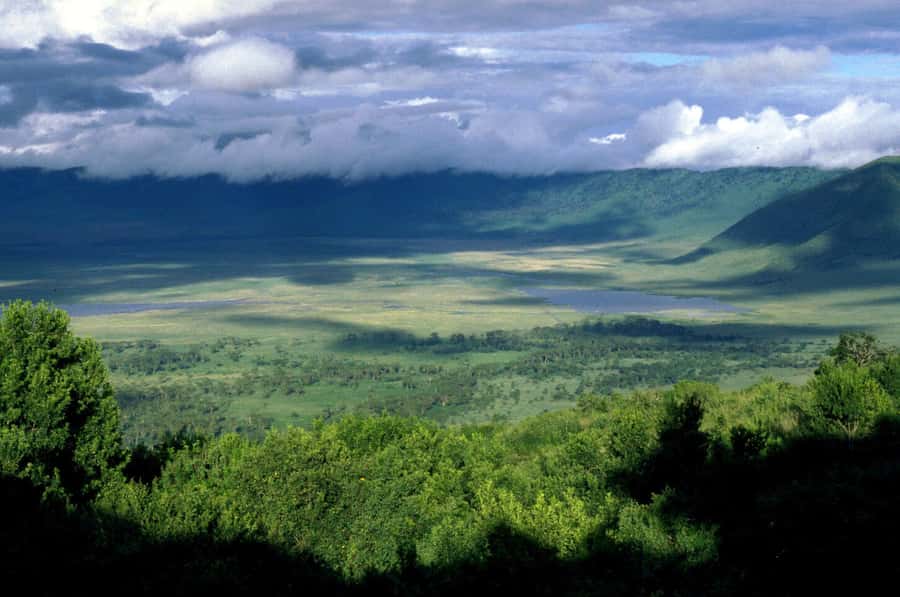 Arusha: Ngorongoro Crater Day Tour - Picnic lunch with the crater as your backdrop
