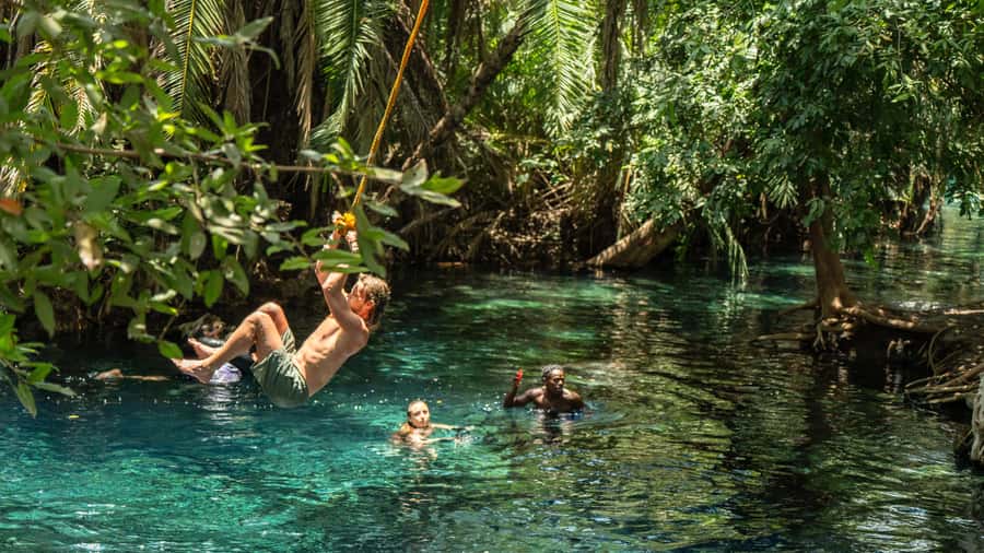 Arusha or Moshi : Hot Spring, Waterfall & Coffee Farm Tour - Five useful things to know before you go