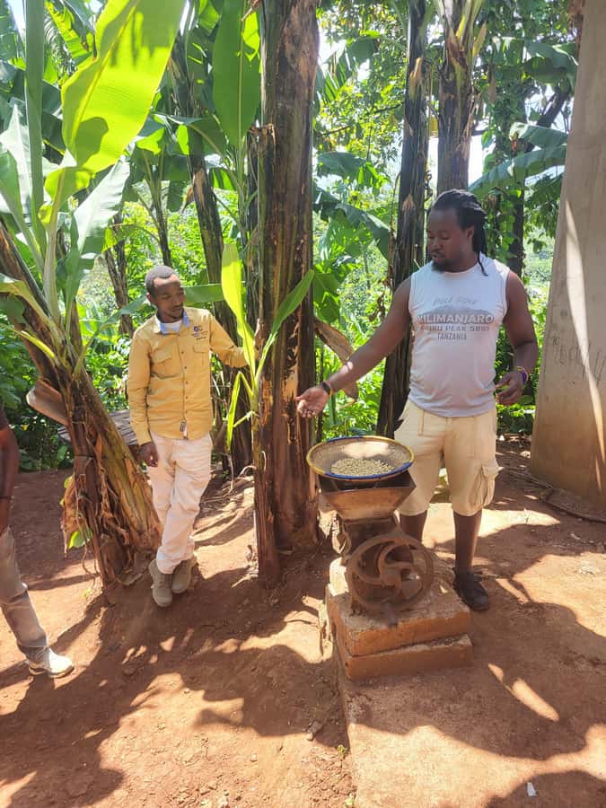 Arusha or Moshi : Hot Spring, Waterfall & Coffee Farm Tour - The 80-meter Materuni Waterfall hike
