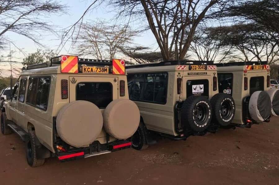 Arusha: Serengeti and Ngorongoro Multi-Day Camping Safari - Day two: a full day on the Serengeti plains