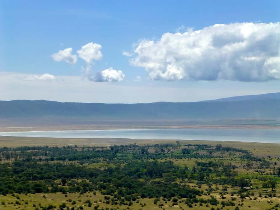 Arusha: Serengeti and Ngorongoro Multi-Day Camping Safari - Camping Comfort, Food, and Vehicle Space