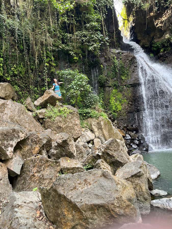 Arusha Waterfall Swim & Swing Adventure by Kingstone Asilia - Choosing the optional family lunch