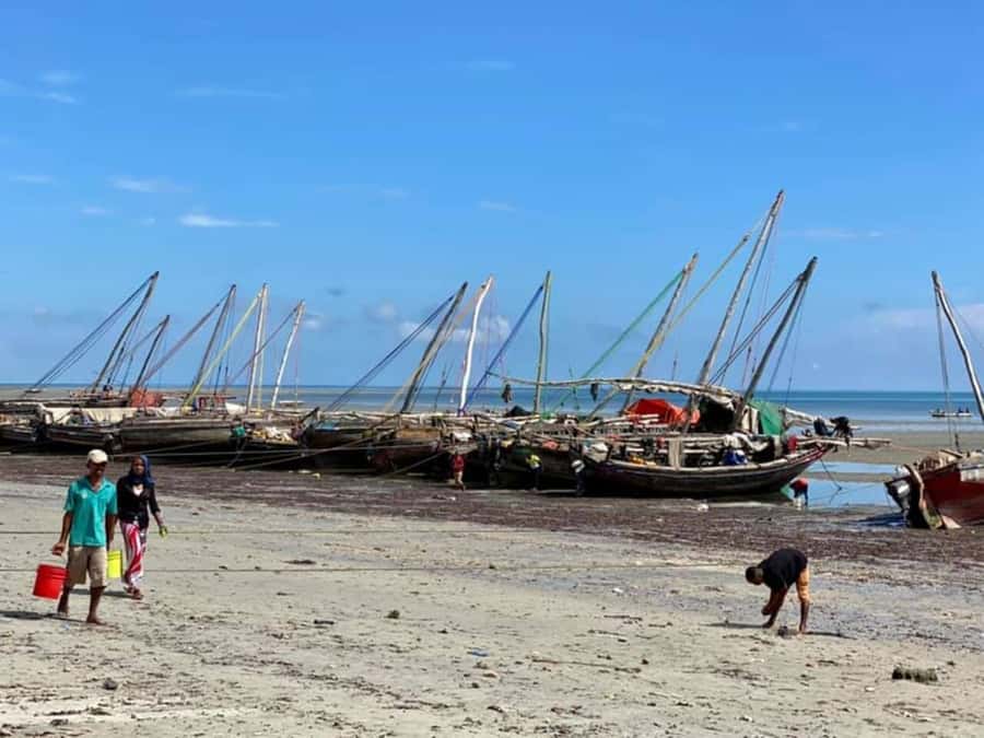 Bagamoyo: Explore Historic Slave Trade Route & Kaole Ruins - Kaole Ruins and the crocodile stop