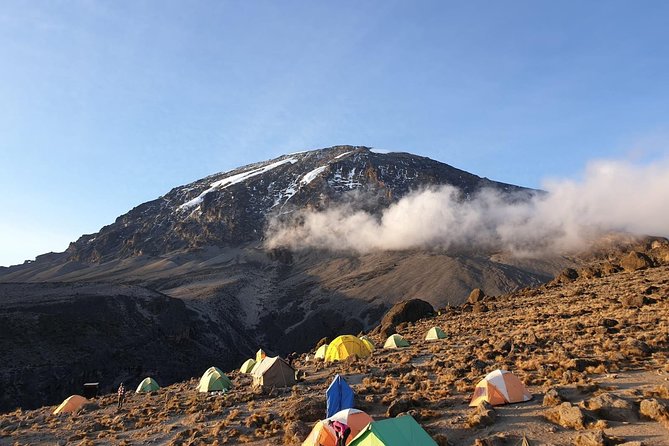 Best Kilimanjaro Adventure 7 days Machame route Trekking - Day 1: Machame Gate and the Tropical Forest