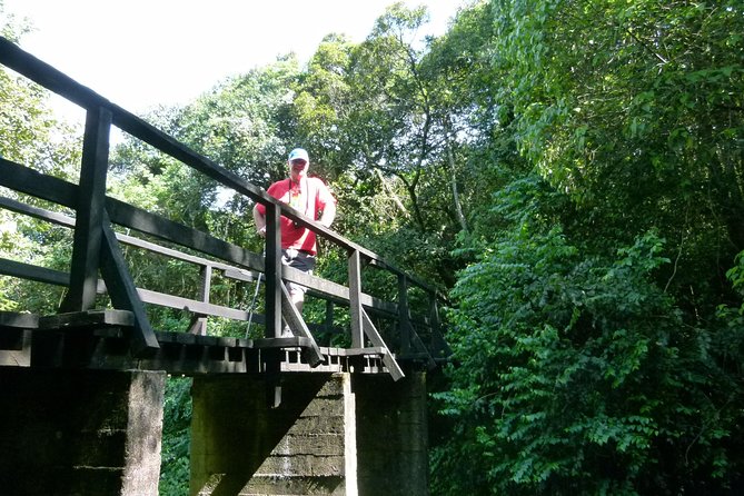 Best Kilimanjaro hiking day trip tour with Kilinge Adventures - Key points to know before booking