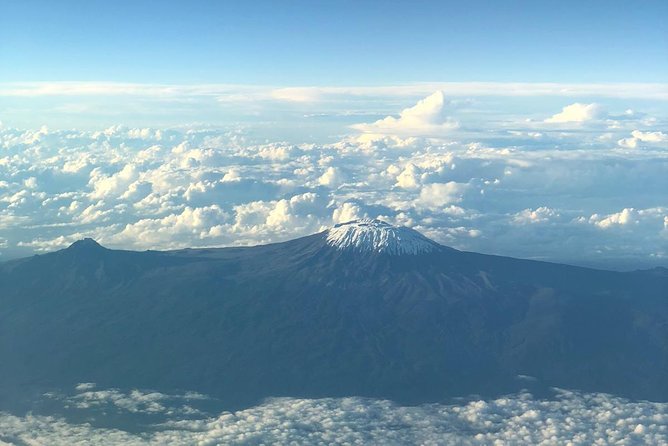Best Kilimanjaro hiking day trip tour with Kilinge Adventures - The rainforest trail to Mandara Hut