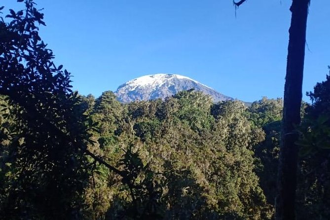 Best Kilimanjaro hiking day trip tour with Kilinge Adventures - Marangu Gate: paperwork before the trail