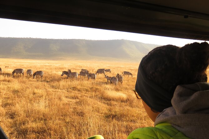 Best Of Six Days Safari Camping safari - Day 1 in Arusha: a practical arrival night