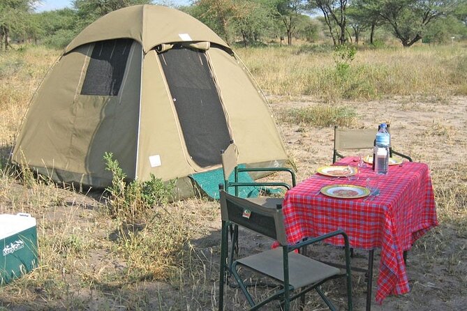 Best Of Six Days Safari Camping safari - Day 5 at Ngorongoro Crater: concentrated wildlife below the rim