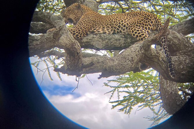 Best of Tanzania 5days 4nights safari - Day two: crossing into the Serengeti