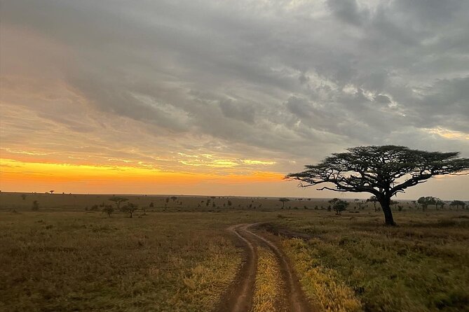 Big Five Dream Safari - Guide quality and the human side of the trip