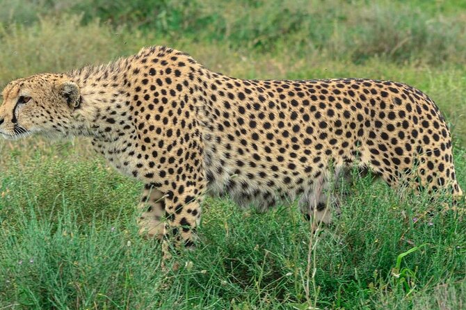 Big Five Luxury Safari in Tanzania - Lake Manyara’s forest and Rift Valley views