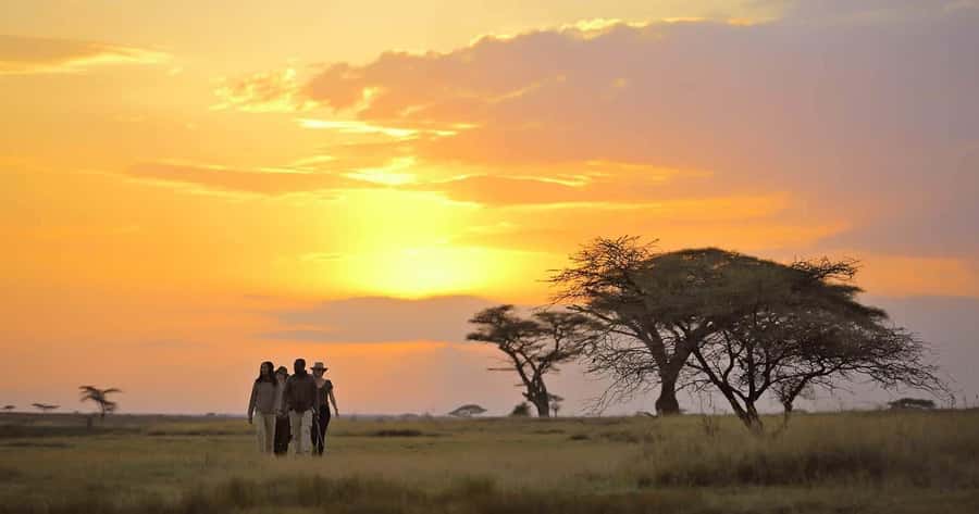 Big Five Safari - Day one: leaving Arusha for the Northern Circuit
