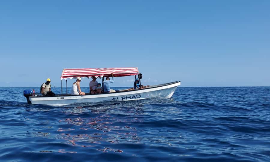 Blue Lagoon Snorkeling, The Rock Restaurant, Kuza Cave Tour - Key points to know before booking