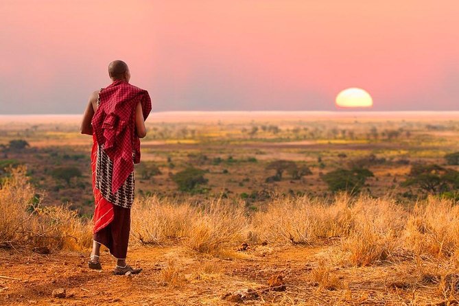 Camping to Serengeti & Ngorongoro Premium Parks - Day One: the long road to Serengeti National Park