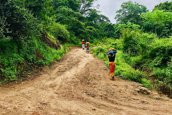 Chagga Villages in Mount Kilimanjaro Cycling Day Trip - Why this ride offers more than a bike rental