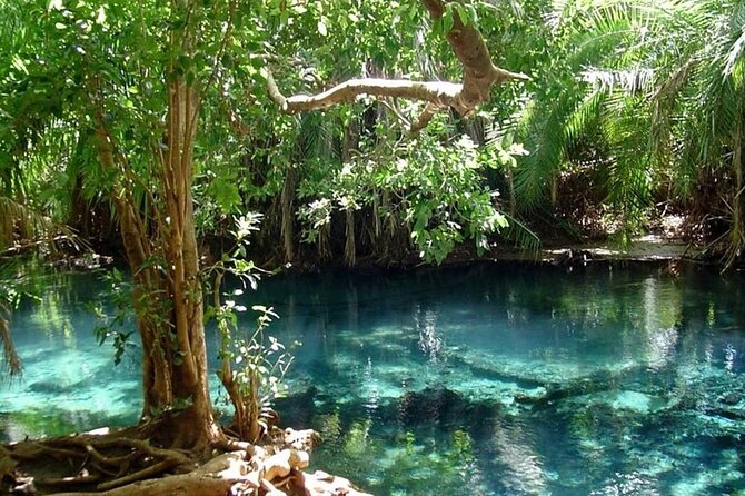 Chemka Hot Springs Day Trip - Is $120 per person good value?