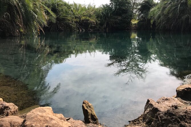 Chemka Hotsprings - Swimming, Floating, and Fish Nibbling at Your Feet
