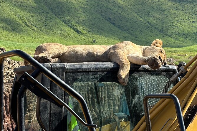 Classic 4-Day Tanzania Safari: Tarangire, Serengeti & Ngorongoro - Key points to know before booking