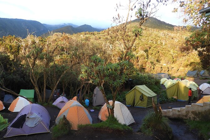 Climb Kilimanjaro - Lemosho Route 7 Day Climb - Day 5: Lava Tower and the drop to Barranco