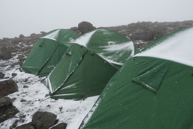 Climb Kilimanjaro - Lemosho Route 7 Day Climb - Day 7: Stella Point, Uhuru Peak, and the long descent