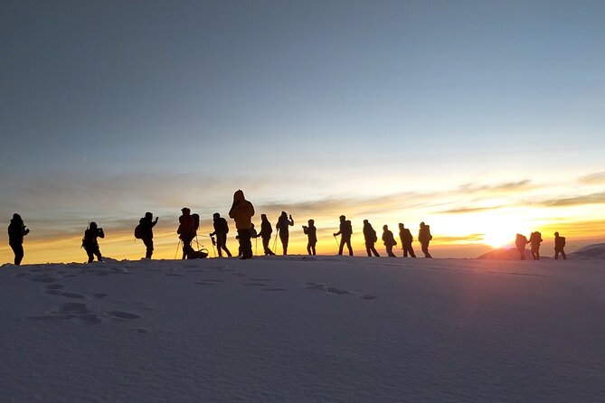 Climb Kilimanjaro - Lemosho Route 7 Day Climb - Day 2: Londorosi Gate to Mti Mkubwa Camp