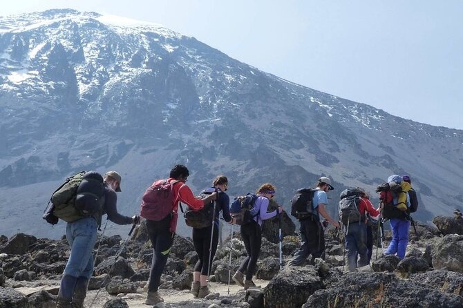 Climb Kilimanjaro - Marangu Route 8 Day Program - Day 1: Airport pickup and a night in Moshi