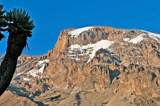 Climbing Kilimanjaro - Machame Route - Day three: Lava Tower, altitude, and Barranco Wall